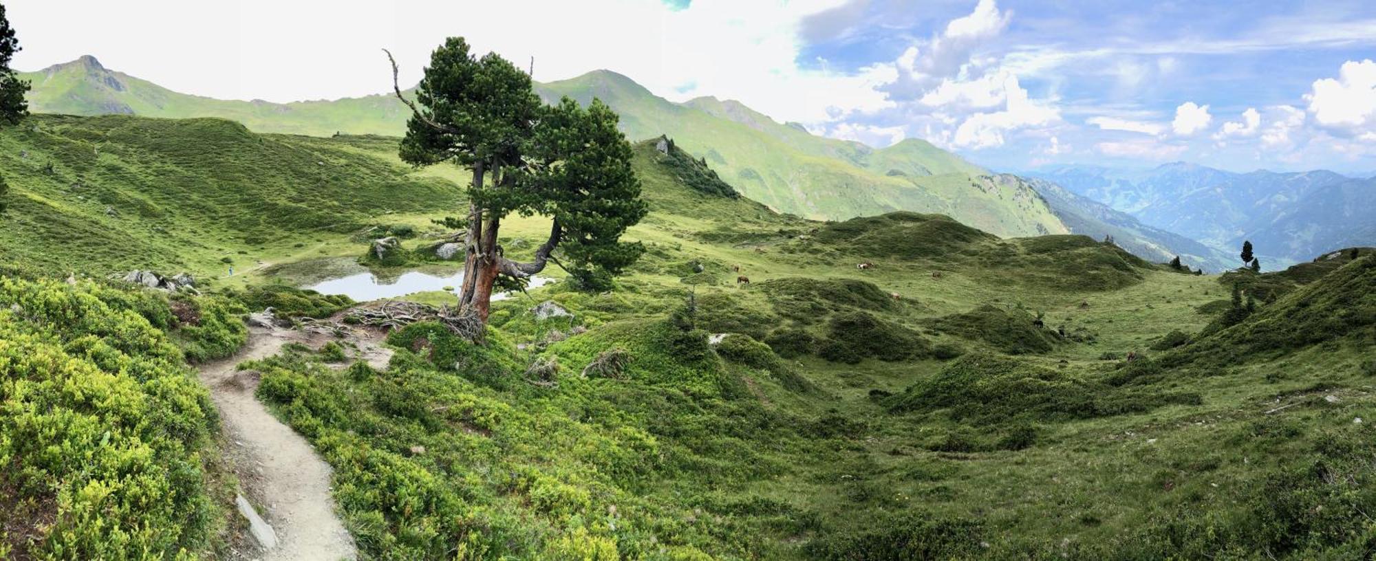 Studio Consys Bad Hofgastein Kültér fotó